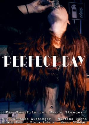 copertina del programma Perfect Day