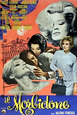 copertina del programma Il morbidone