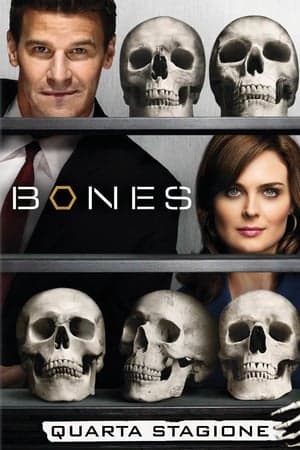 copertina del programma Bones