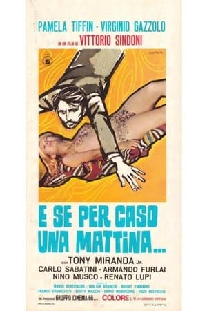 copertina E se per caso, una mattina...