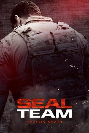 copertina del programma Seal Team