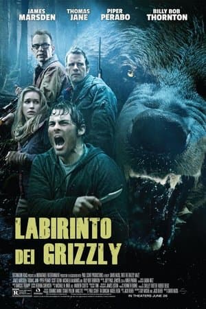 copertina del programma Il labirinto del Grizzly