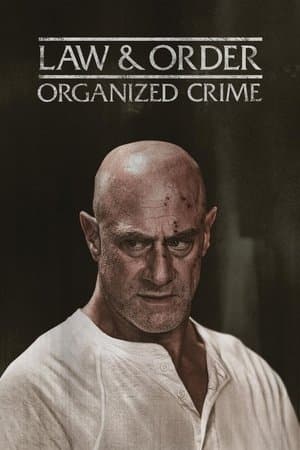 copertina del programma Law & Order: Organized Crime - Law & Order: Organized Crime 02 Ep.09