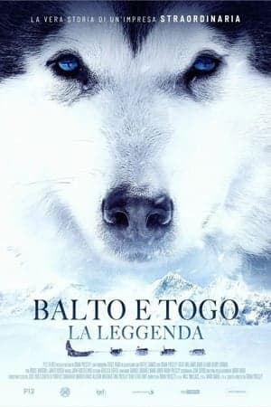 copertina del programma Balto e Togo - La leggenda