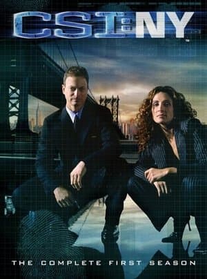 copertina del programma C.S.I. New York