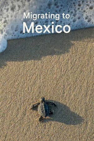 copertina Migrating to Mexico