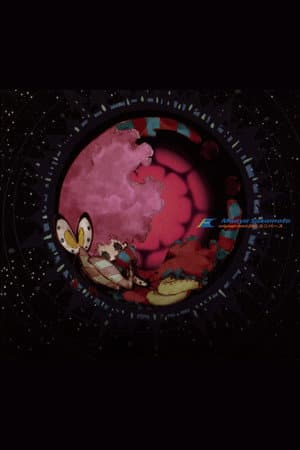 copertina Universe