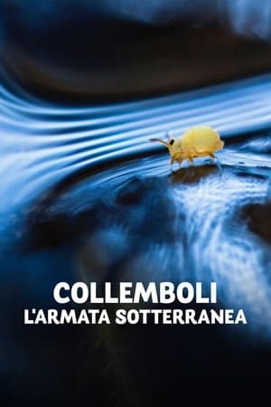 copertina Collemboli - L'armata sotterranea