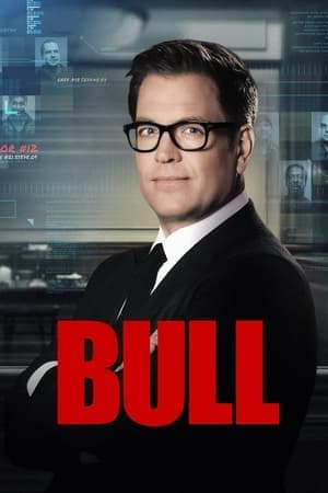 copertina del programma Bull