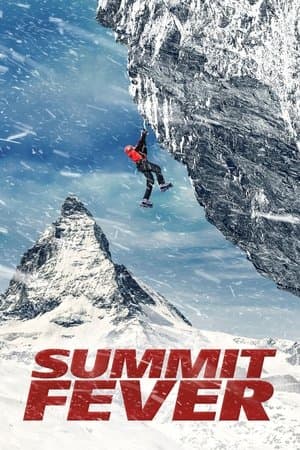 copertina del programma Summit Fever