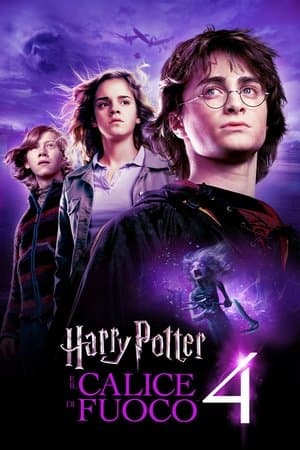 copertina del programma Harry Potter e il calice di fuoco