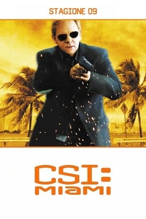 copertina del programma C.S.I. Miami