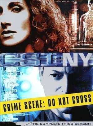 copertina del programma C.S.I. New York