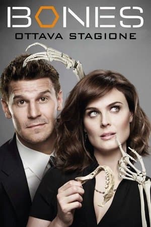 copertina del programma Bones
