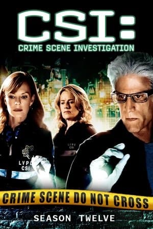 copertina del programma C.S.I. - Scena del crimine