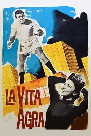 copertina del programma La vita agra