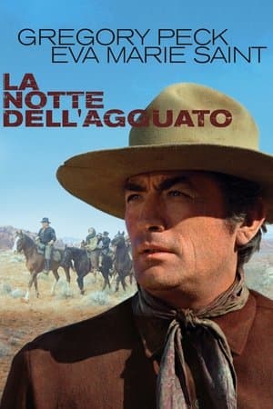 copertina del programma La notte dell'agguato