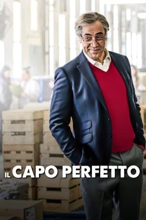 copertina del programma Il capo perfetto