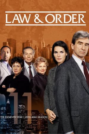copertina del programma Law & Order: I due volti della giustizia