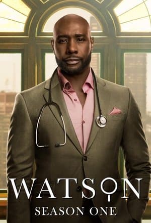 copertina del programma Watson