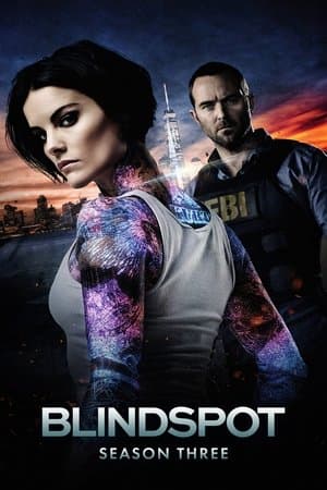 copertina del programma Blindspot