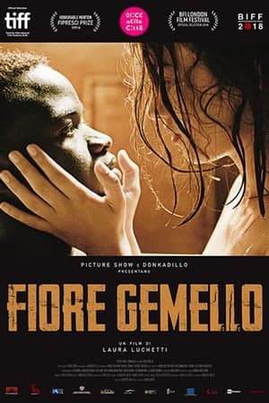 copertina del programma Fiore gemello