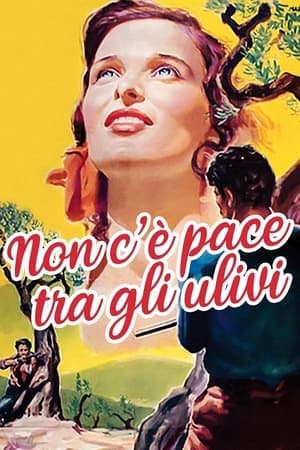 copertina del programma Non c'è pace tra gli ulivi