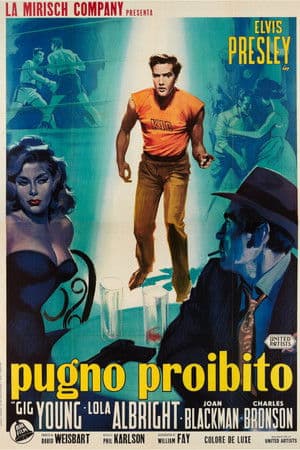 copertina del programma Pugno proibito