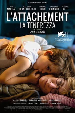 copertina del programma L'attachement: La tenerezza