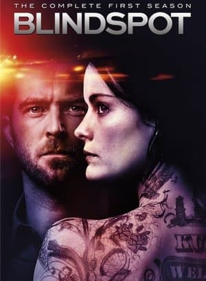 copertina del programma Blindspot