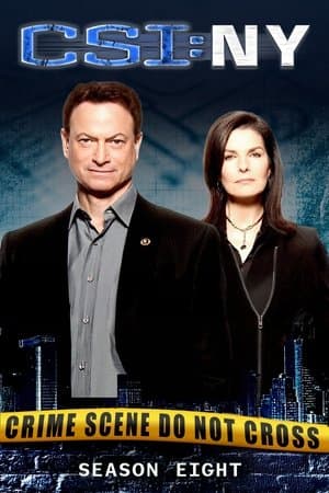 copertina del programma C.S.I. New York