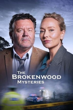 copertina del programma I misteri di brokenwood
