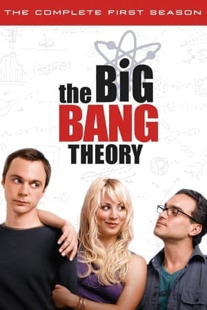 copertina del programma THE BIG BANG THEORY