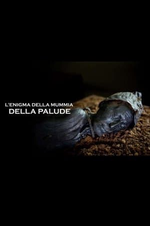 copertina L'enigma della mummia della palude