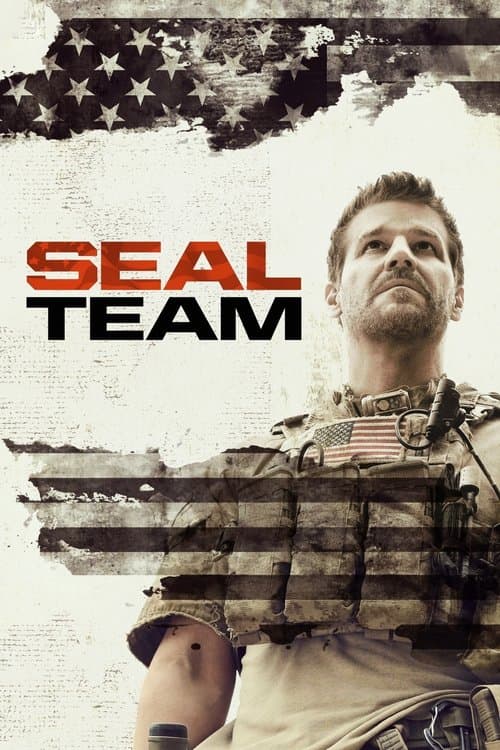 copertina del programma Seal Team