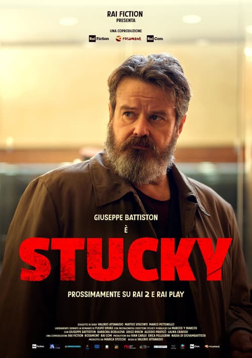 copertina del programma Stucky - Falso d'autore