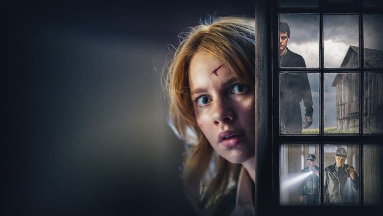 copertina del programma La ragazza alla finestra