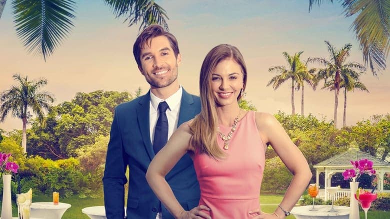 copertina del programma Il Galà Dell'Amore