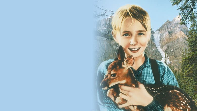 copertina del programma Il cucciolo
