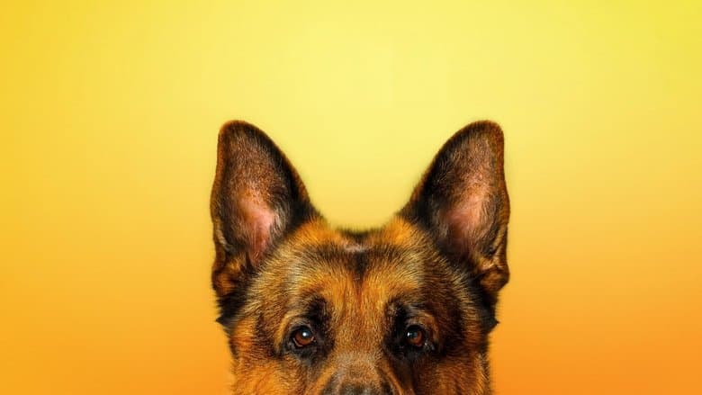 copertina Hudson e Rex