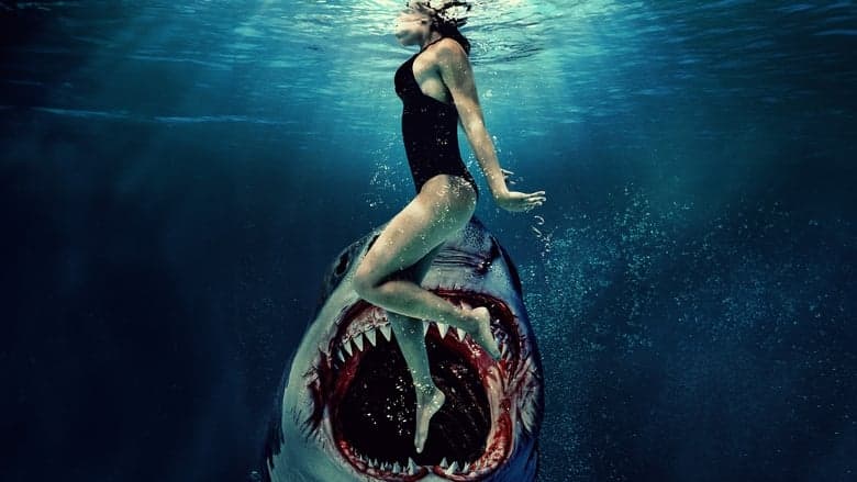 copertina Something in the Water