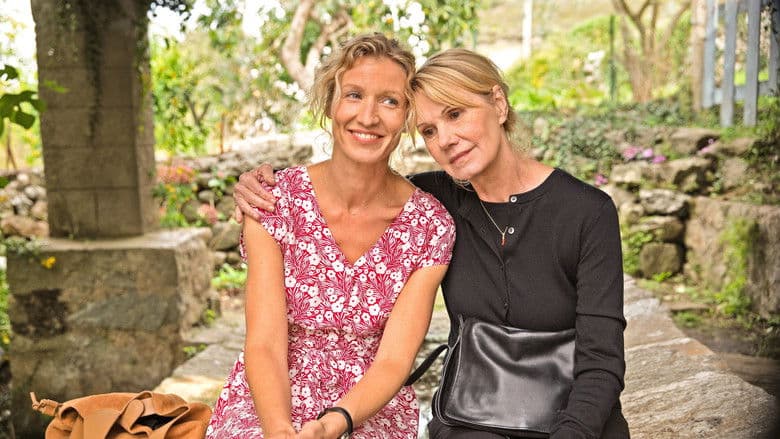 copertina La nuora ideale