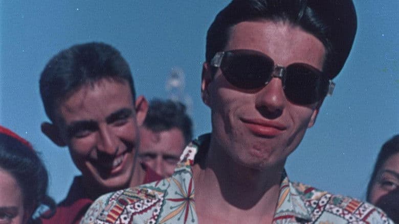 copertina Bulli e Pupe