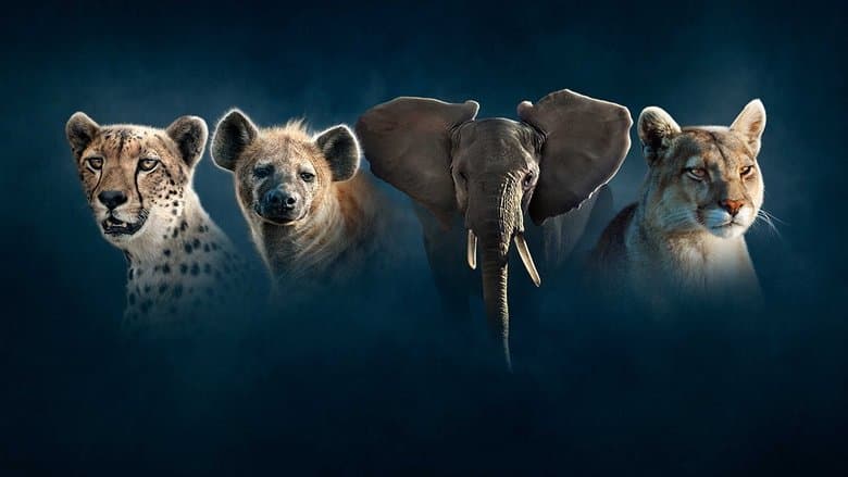 copertina Dynasties