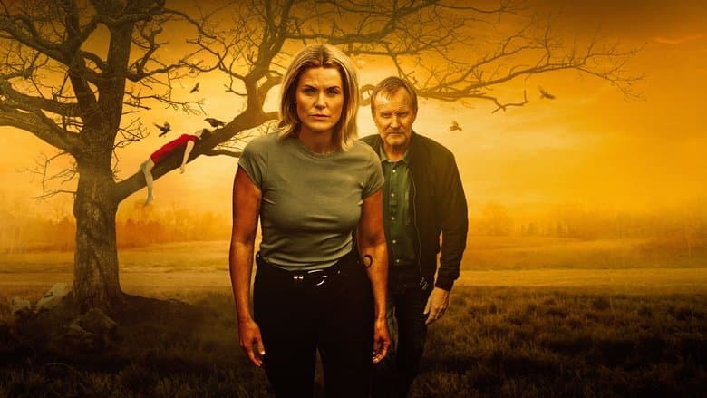 copertina del programma Boundless