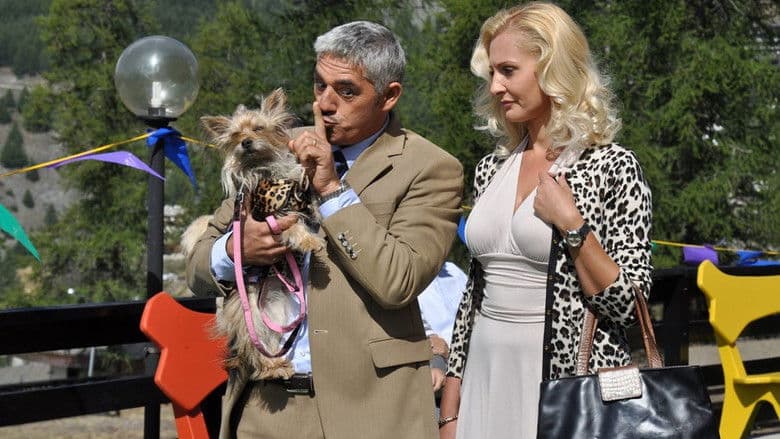 copertina del programma Natale a 4 zampe