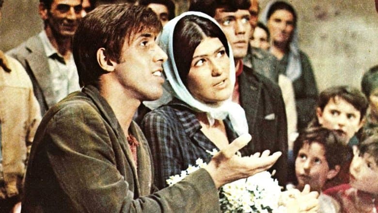 copertina del programma Serafino