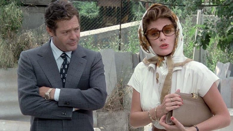 copertina del programma La donna della domenica (Film)