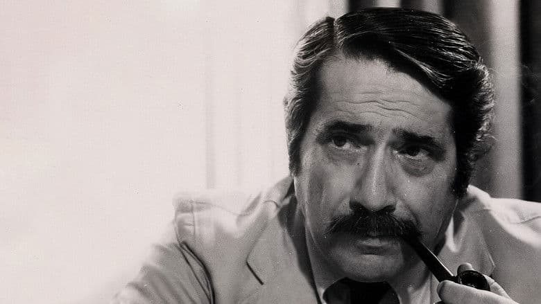 copertina del programma Ennio Flaiano, Straniero In Patria