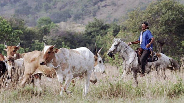 copertina del programma Guyana
